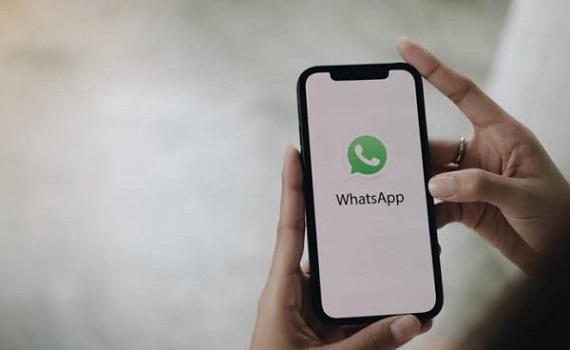 virtex whatsapp