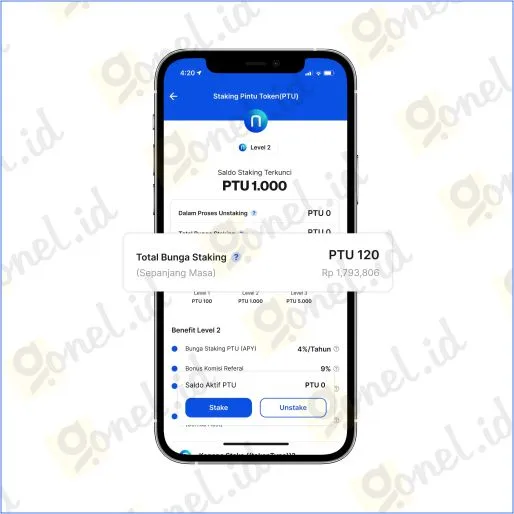 apa itu pintu token