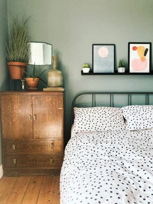 Sage green cat kamar aesthetic